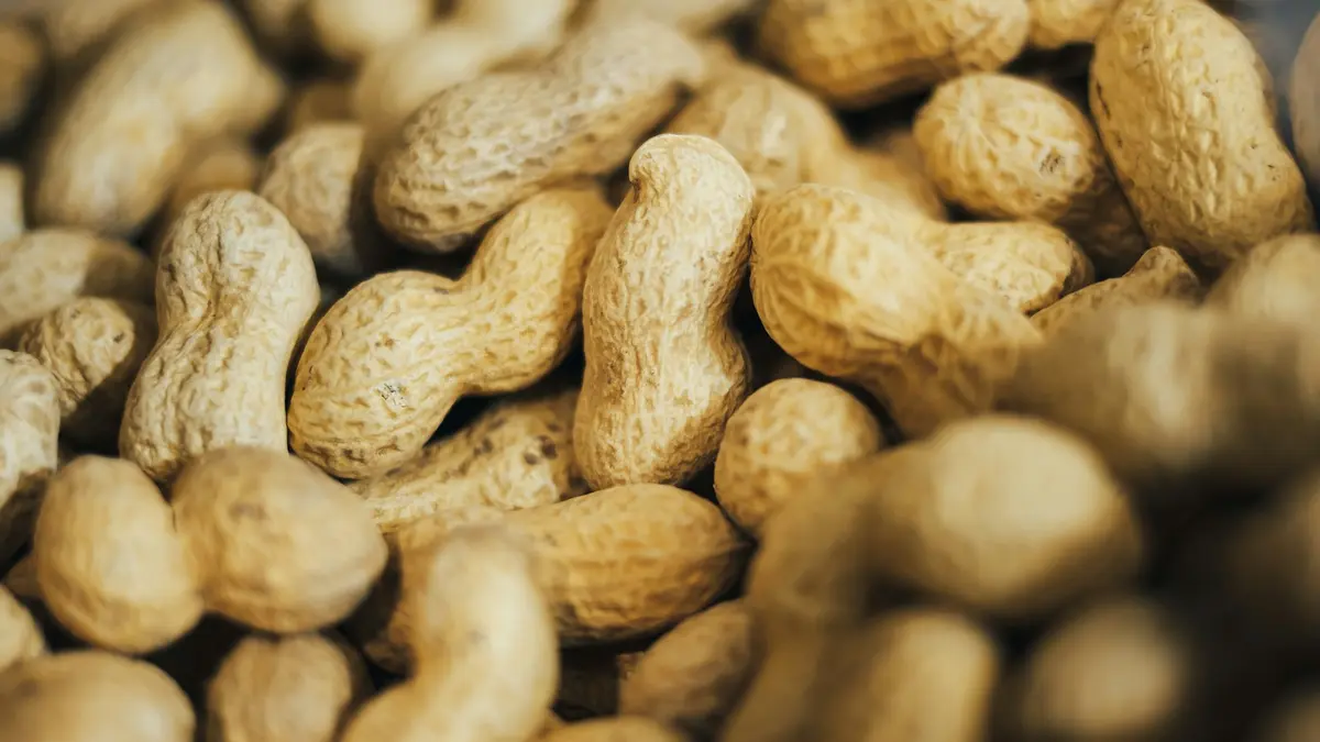 Peanuts in their shells, arranged closely together on a surface.